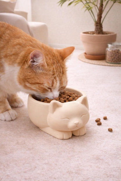 Cat Food Bowl | Cute Kitty Pet Feeder | Raised Dish for Dry Food | Modern Minimal Design