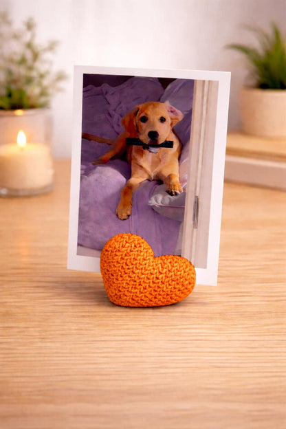Heart Photo Holder | Picture Stand for Desk | Wedding and Couple Gift | Modern Display for Home Decor