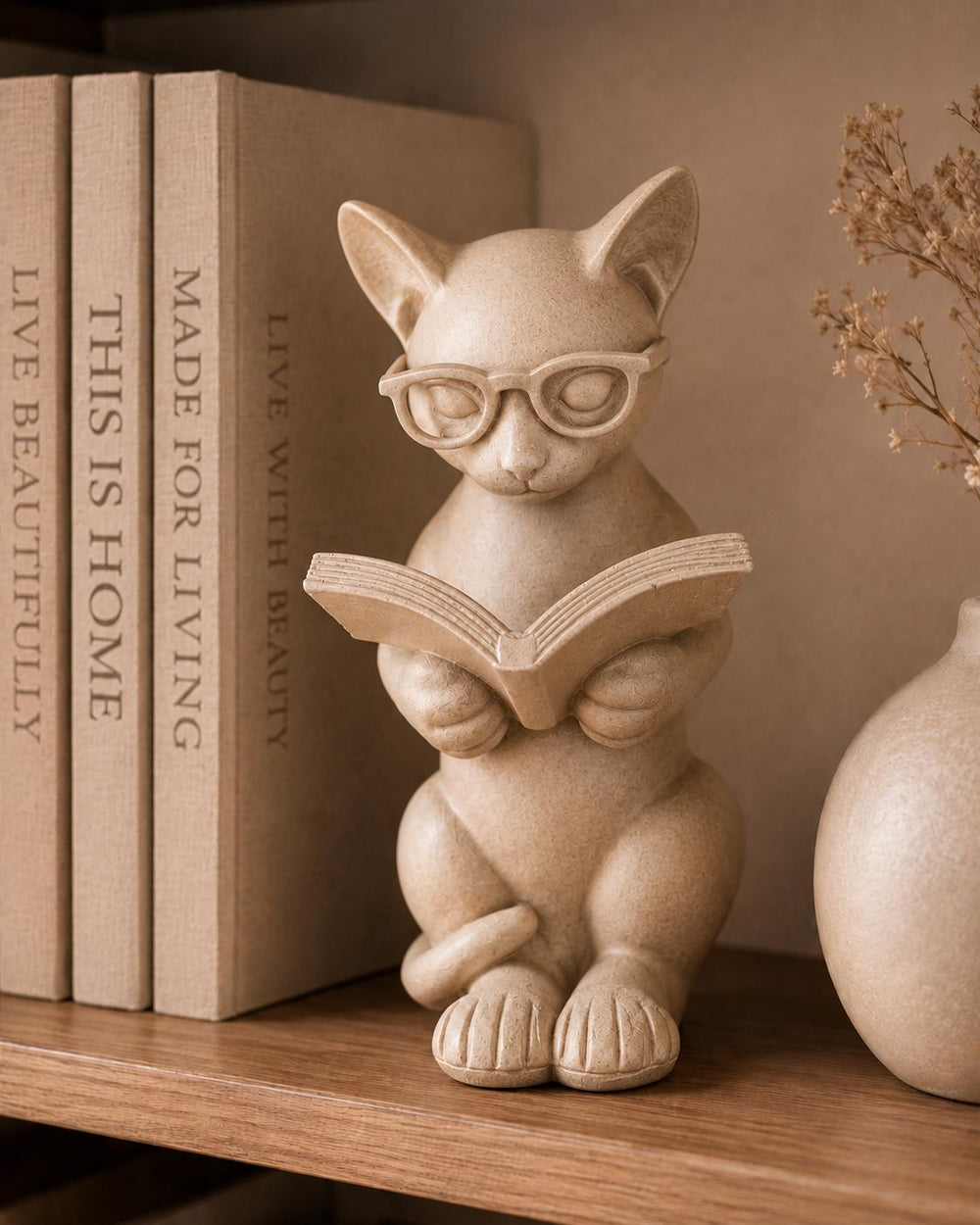 Book Lover Gift - Library Decor | Cat Lover Home Decor