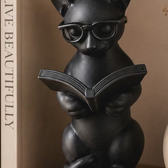 Book Lover Gift -  Library Decor | Cat Lover Home Decor